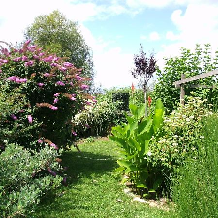 Le Bord De L'Eau Bed and Breakfast Sainte-Terre Exteriör bild