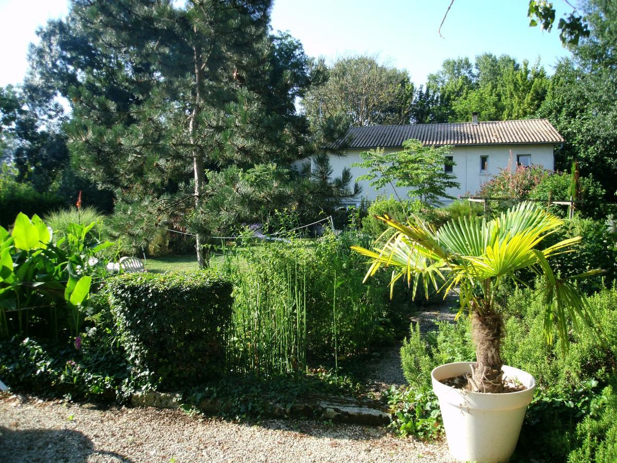 Le Bord De L'Eau Bed and Breakfast Sainte-Terre Exteriör bild