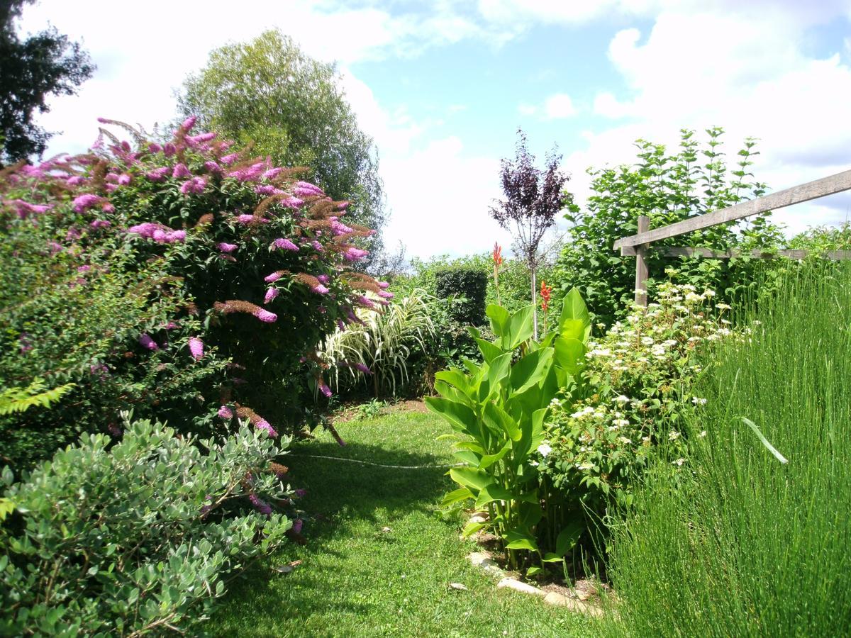 Le Bord De L'Eau Bed and Breakfast Sainte-Terre Exteriör bild